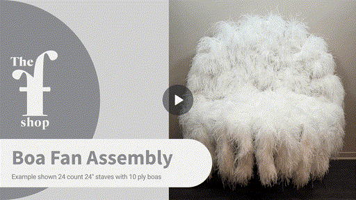 Boa Fan Assembly