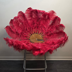 Cranberry (single color) Ostrich Plume Fans