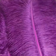 Sugar Plum (single color) Ostrich Plume Fans