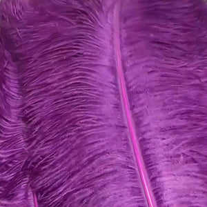Sugar Plum (single color) Ostrich Plume Fans
