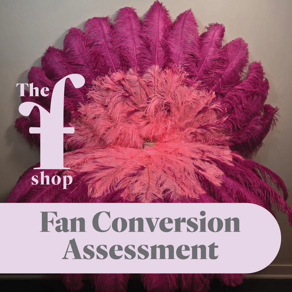 Fan Conversion Assessment