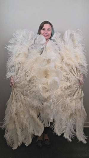 Biscuit (single color) Ostrich Plume Fans