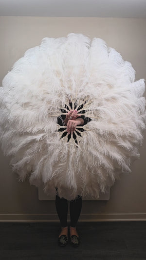 White (single color) Ostrich Plume Fans