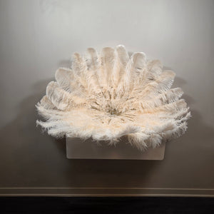 Biscuit (single color) Ostrich Plume Fans