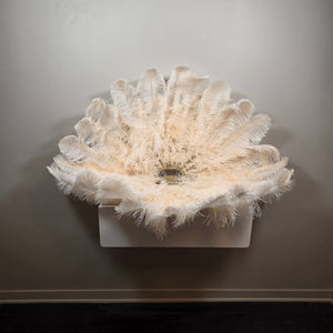Biscuit (single color) Ostrich Plume Fans