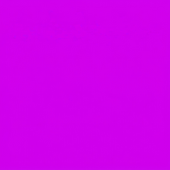 Hot Violet (single color) Ostrich Plume Fans