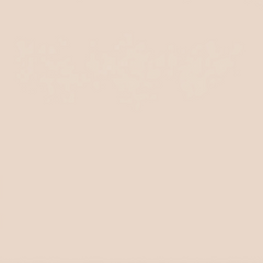 Beach Day (single color) Ostrich Plume Fans