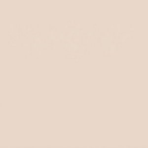Beach Day (single color) Ostrich Plume Fans